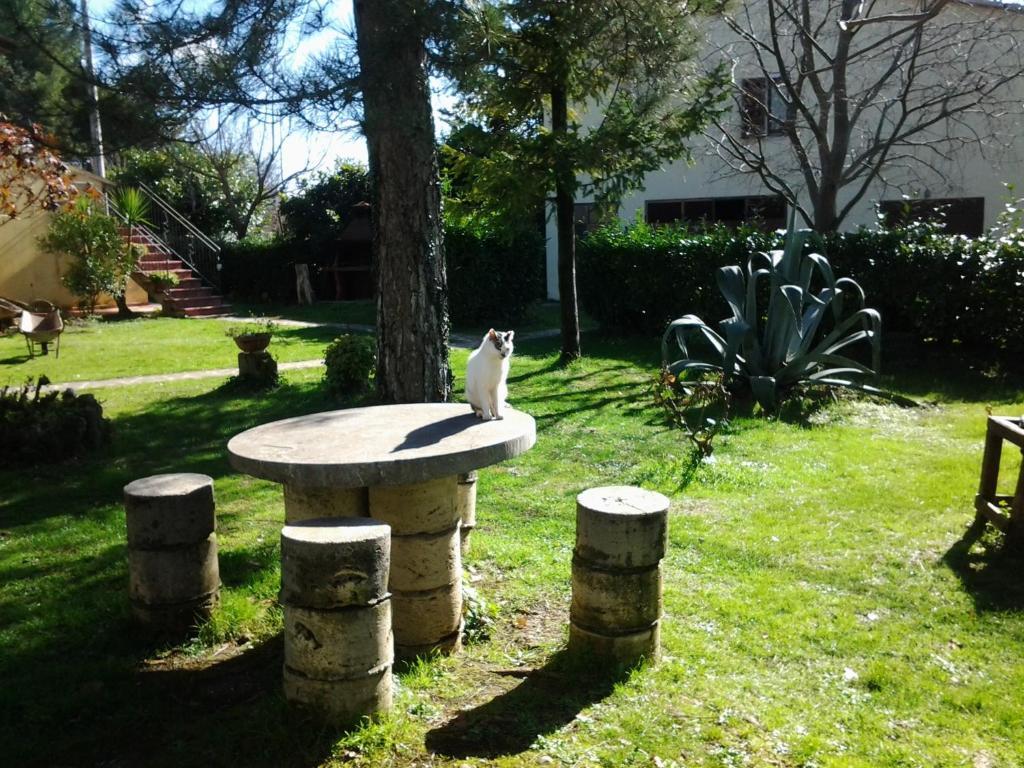 Agriturismo Il Capannone モンテメラノ エクステリア 写真